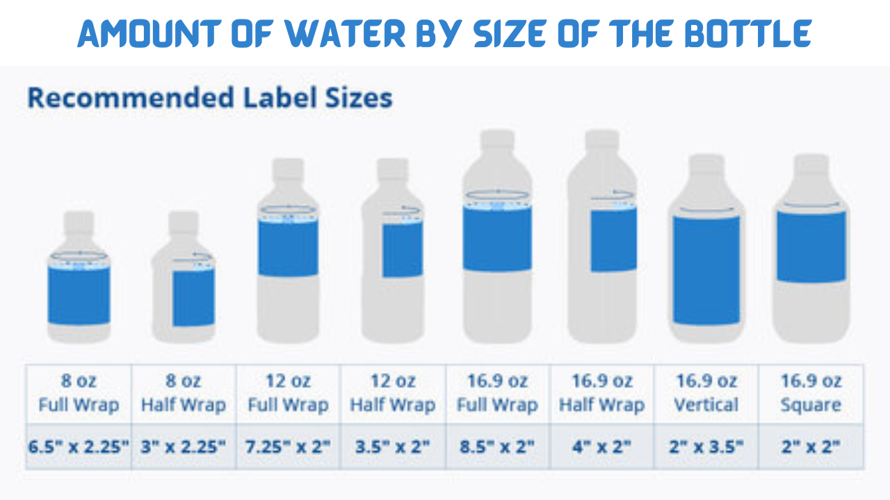 Amount of Water by Size of the Bottle