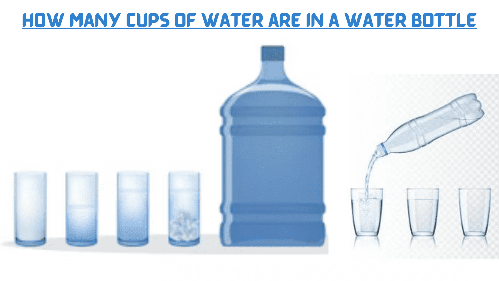 how many cups of water are in a water bottle